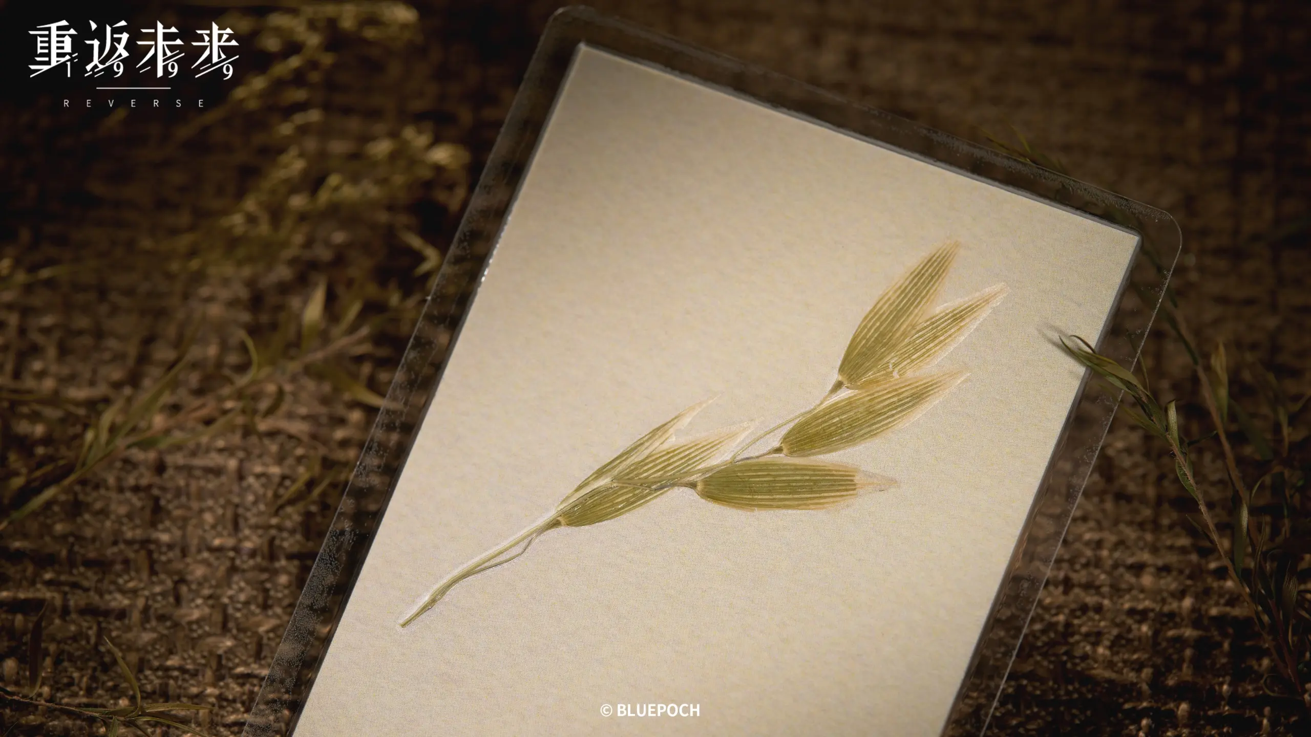 Multi Sketchbook Set - When Gunfire Stops when gunfire stops o reverse 1999 multi sketchbook set content 8